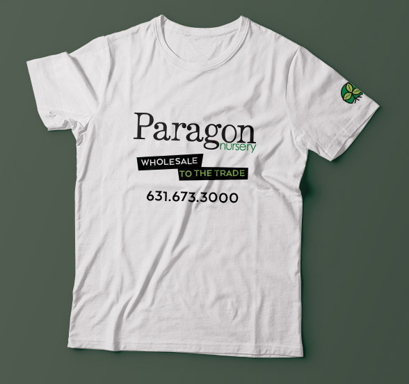 Paragon Tee Shirt